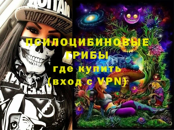 ешки Алзамай