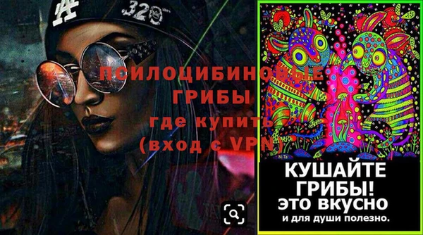 индика Алексеевка