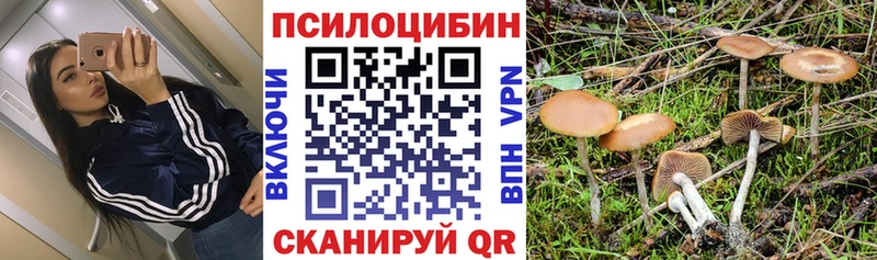 Псилоцибиновые грибы мухоморы  где купить наркоту  Североуральск 