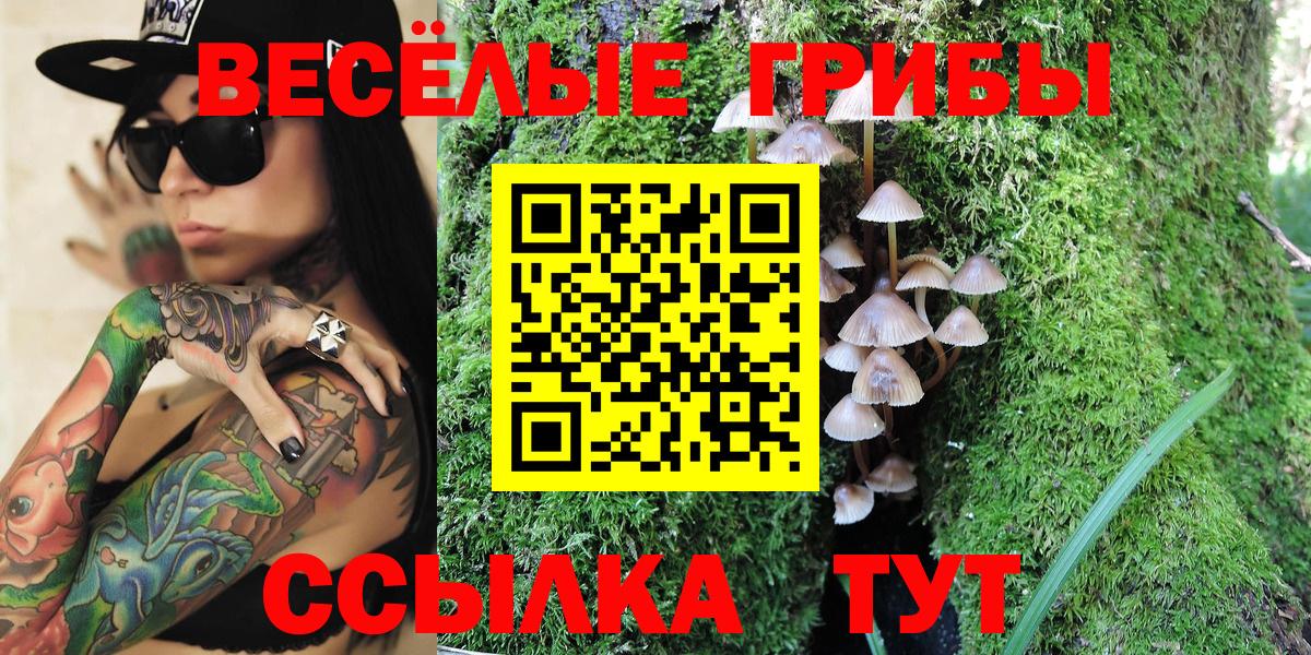 Псилоцибиновые грибы MAGIC MUSHROOMS Североуральск