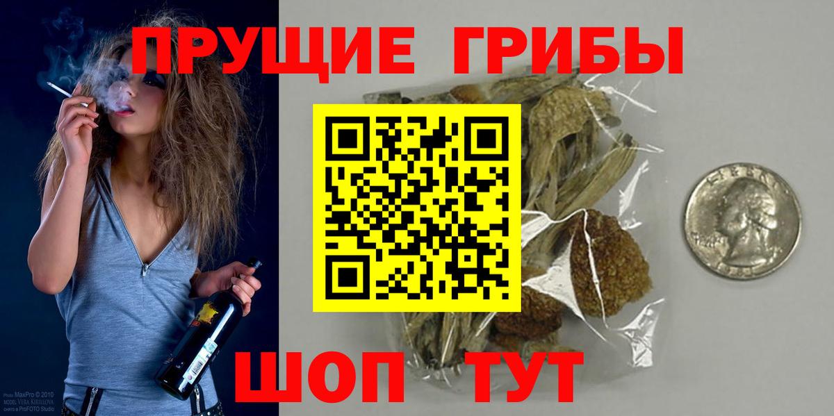 Североуральск  продажа наркотиков  Вход с VPN  Галлюциногенные грибы ЛСД 